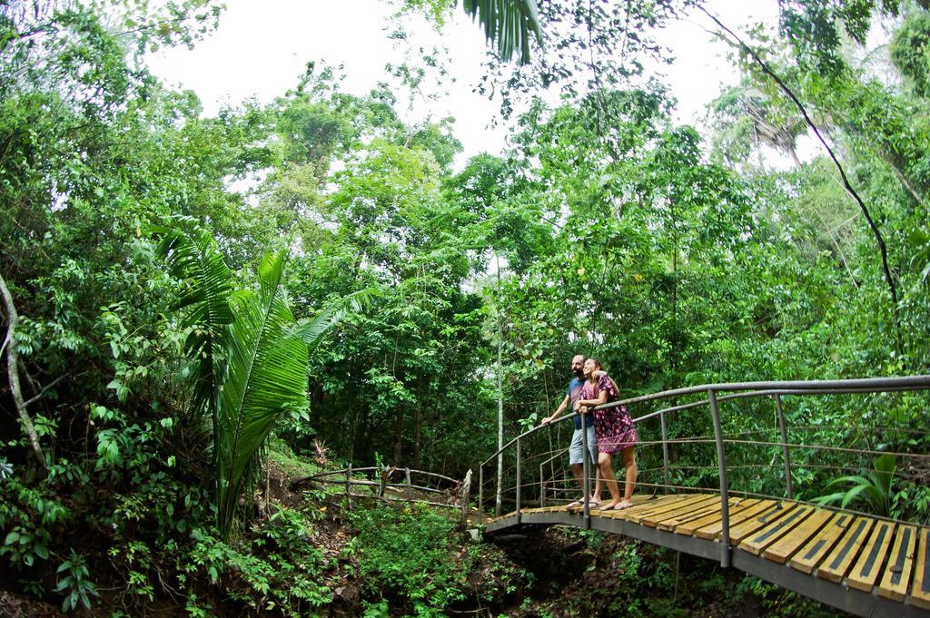 Jungle Vista Boutique Hotel Manuel Antonio Exterior photo